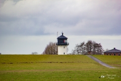 IMG_7540