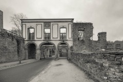 IMG_2245