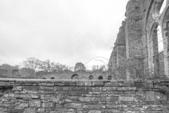 IMG_2248
