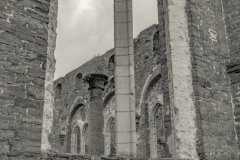 IMG_2249