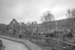 IMG_2271