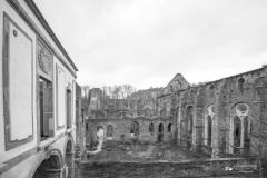 IMG_2275