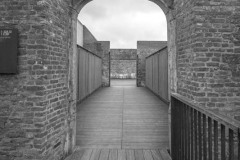 IMG_2285