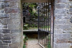IMG_2301