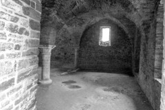 IMG_2305
