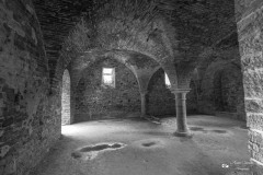 IMG_2314