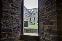 IMG_2324