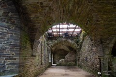 IMG_2327