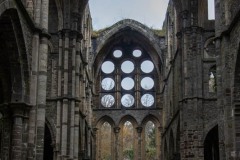 IMG_2379