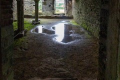 IMG_2415