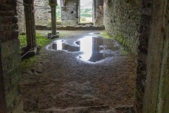IMG_2416