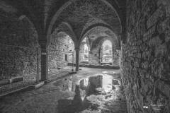 IMG_2420