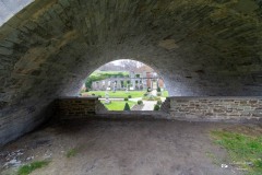 IMG_2461